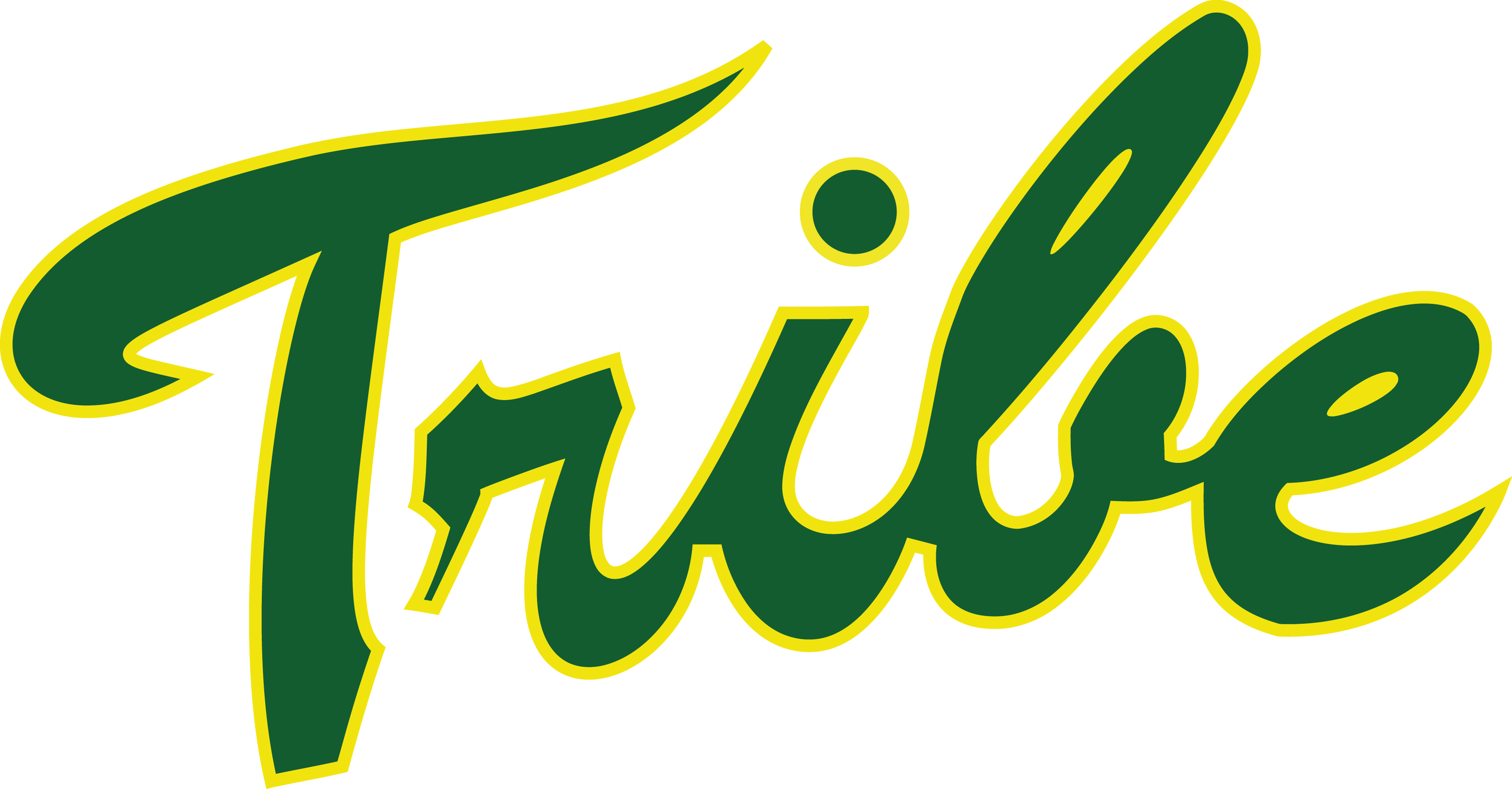 William and Mary Tribe 1985-Pres Alternate Logo diy iron on heat transfer